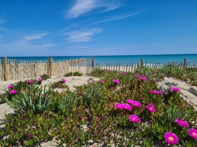 Confortable Studio Cabine - Acces Plage- Vue Mer 4Tvp38 乐巴凯尔斯 外观 照片